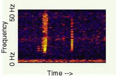 Spectrogram of Bloop.