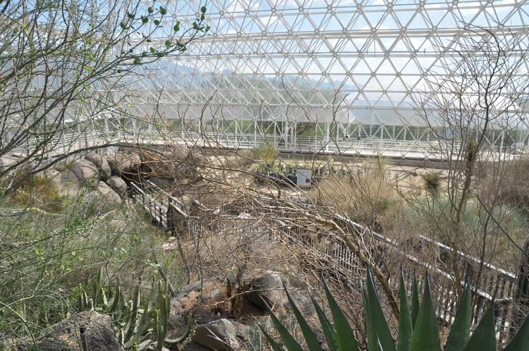 Biosphere 2: The savanna grassland section.