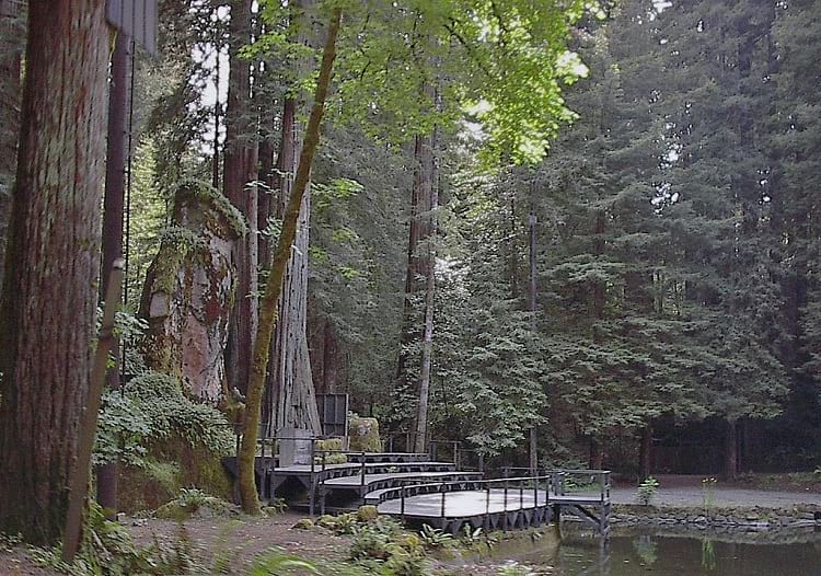 Bohemian Grove: A Club for the Rich and Powerful or an All-Male Secret ...