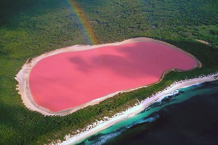 Pink Lakes: Lake Hillier
